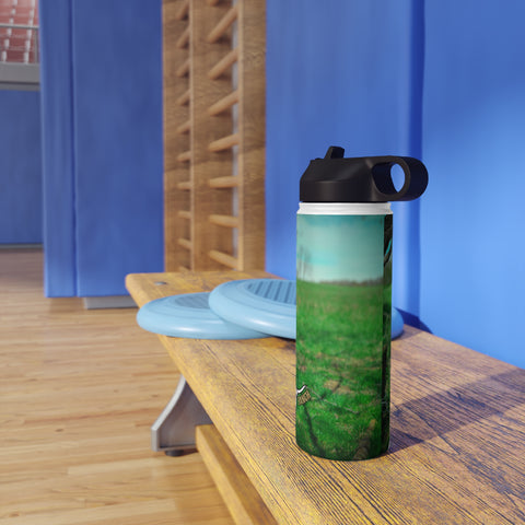 Stainless Steel Water Bottle, Standard Lid