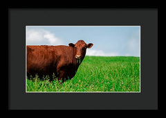 Chew - Framed Print