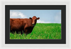 Chew - Framed Print
