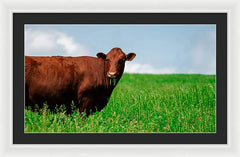 Chew - Framed Print