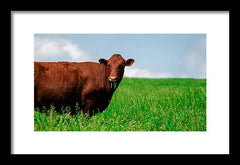 Chew - Framed Print