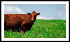 Chew - Framed Print