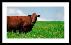 Chew - Framed Print