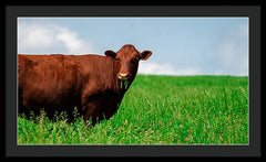Chew - Framed Print