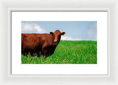 Chew - Framed Print