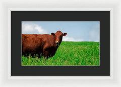 Chew - Framed Print