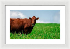 Chew - Framed Print