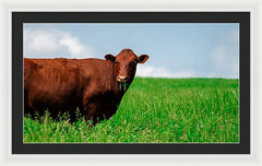 Chew - Framed Print