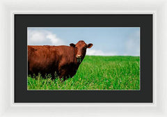 Chew - Framed Print
