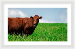 Chew - Framed Print