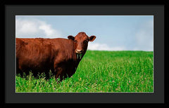 Chew - Framed Print