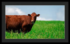 Chew - Framed Print