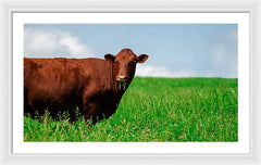 Chew - Framed Print