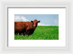 Chew - Framed Print