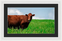 Chew - Framed Print