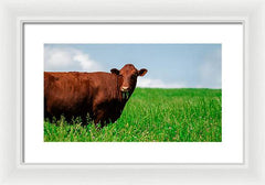 Chew - Framed Print