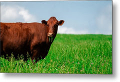 Chew - Metal Print