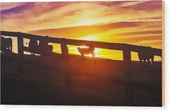 Cow Fence - Wood Print