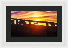 Cow Fence - Framed Print