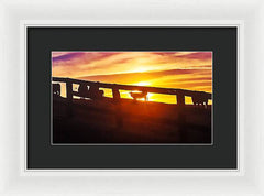 Cow Fence - Framed Print