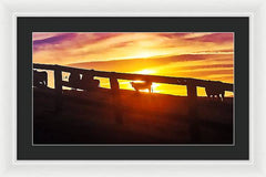 Cow Fence - Framed Print