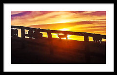 Cow Fence - Framed Print