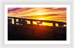 Cow Fence - Framed Print