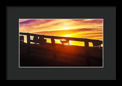 Cow Fence - Framed Print