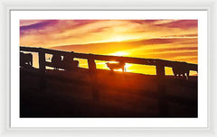 Cow Fence - Framed Print