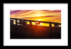 Cow Fence - Framed Print