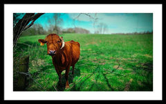 Crescent Portrait - Framed Print