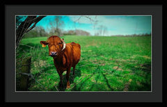 Crescent Portrait - Framed Print