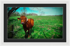 Crescent Portrait - Framed Print