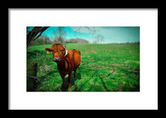 Crescent Portrait - Framed Print