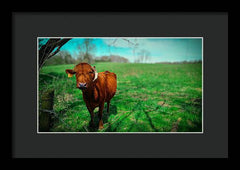 Crescent Portrait - Framed Print
