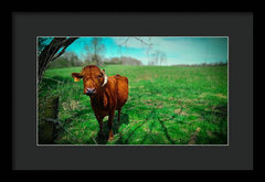 Crescent Portrait - Framed Print