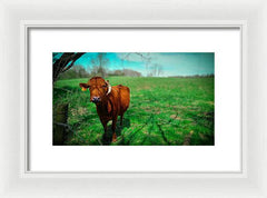 Crescent Portrait - Framed Print