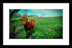 Crescent Portrait - Framed Print