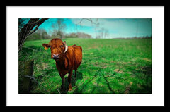 Crescent Portrait - Framed Print