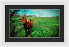 Crescent Portrait - Framed Print