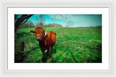 Crescent Portrait - Framed Print