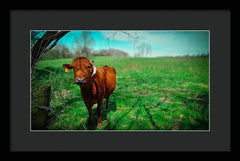 Crescent Portrait - Framed Print