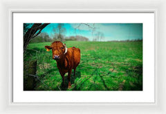 Crescent Portrait - Framed Print
