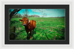 Crescent Portrait - Framed Print