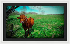 Crescent Portrait - Framed Print