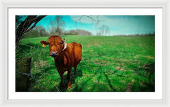 Crescent Portrait - Framed Print