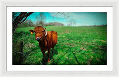 Crescent Portrait - Framed Print