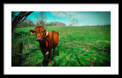 Crescent Portrait - Framed Print