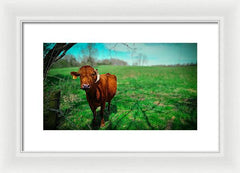 Crescent Portrait - Framed Print