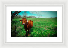 Crescent Portrait - Framed Print